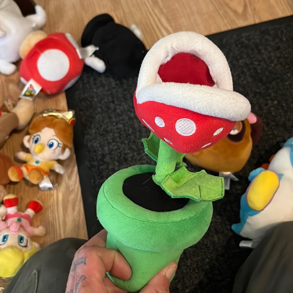 Mannion plant from super Mario brothers